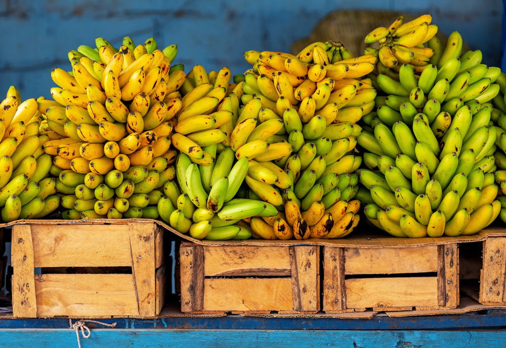 Bananas on crates for sale on local market, Guayaquil, Ecuador