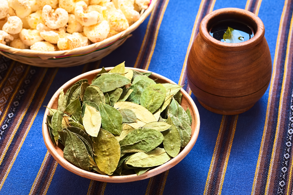 Dried coca leaves in clay bowl with fresh coca tea (mate de coca) on the side, photographed with natural light (Selective Focus, Focus on the middle of the coca leaves)