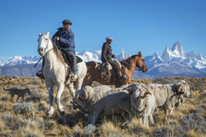 Gaucho-against-the-backdrop-of-the-famous-mount-Fitz-Roy