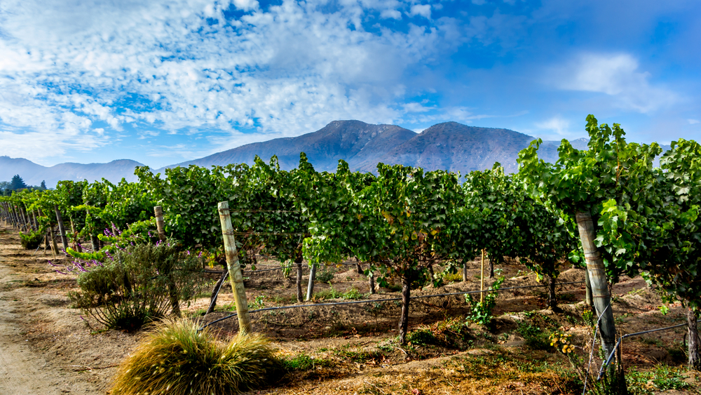 Paesaggio vinicolo Valle di Casablanca, montagne e cielo nuvoloso blu