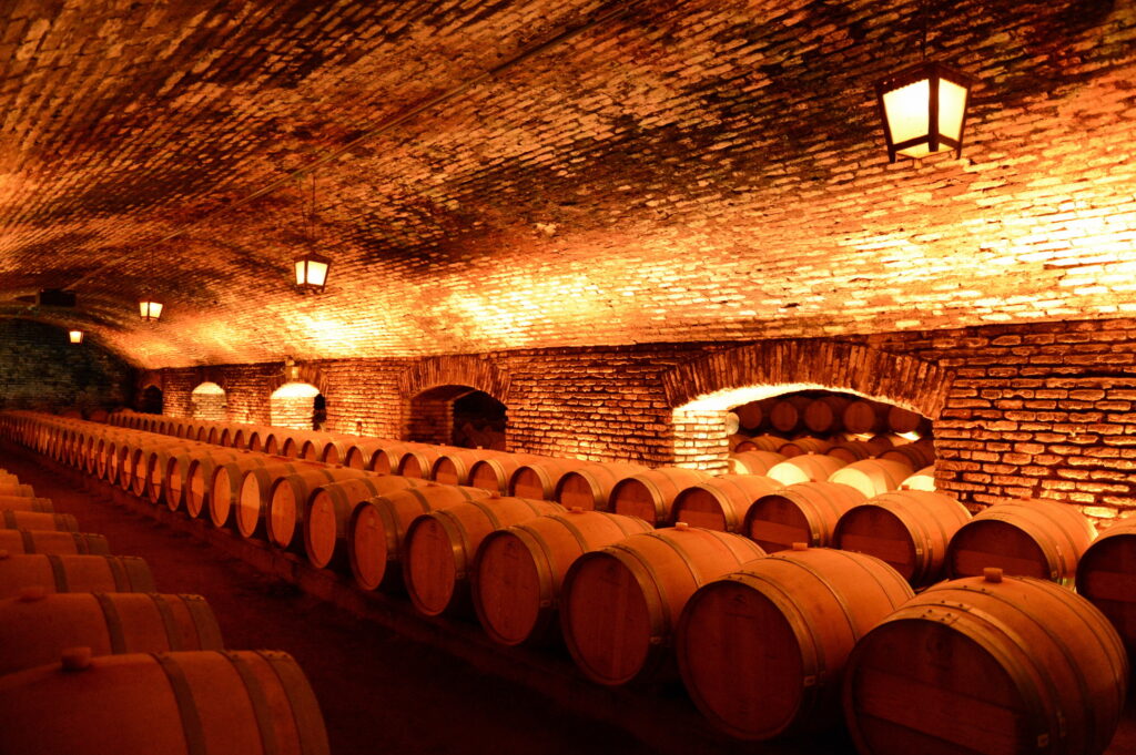 Wine barrels at the winery "Concho y Tora".