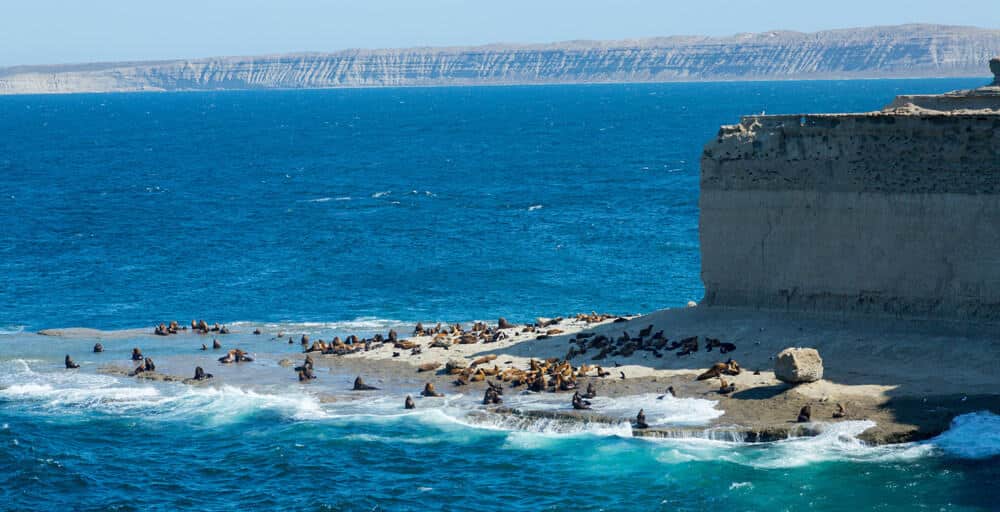 Costa della Penisla di Valdés