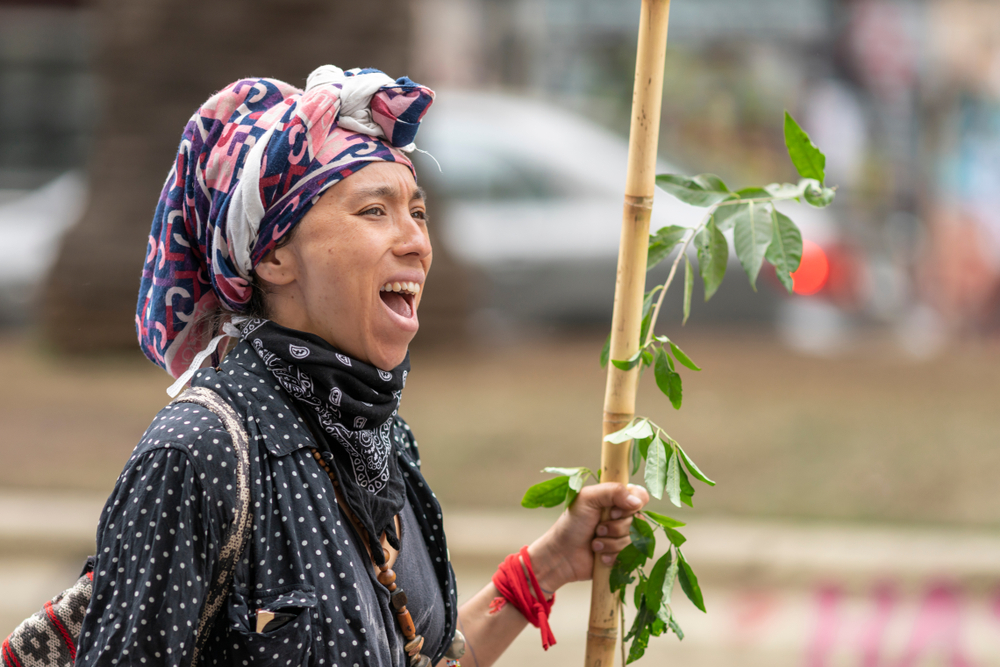 Donna Mapuche