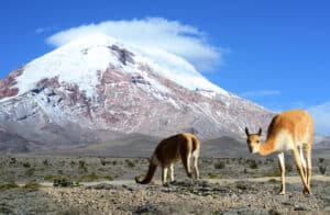 Geografia dell’Ecuador: montagne, fiumi e biodiversità