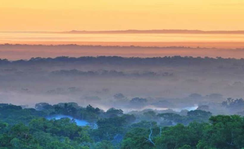 Guatemala-Tikal-National-Park-view-from-Temple-IV._621786305-820x500