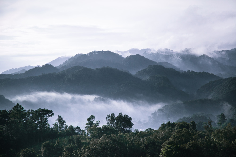 Mountains-top-at-dawn-in-the-Mexican-rain-forest-near-Palenque-land-of-the-Mayans