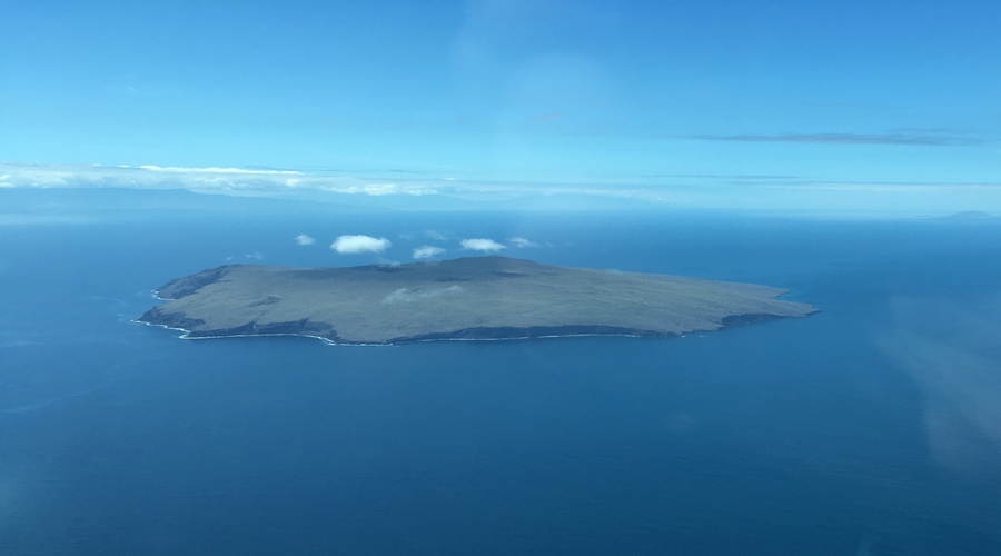 isola Pinzón: una gemma nascosta delle Galapagos