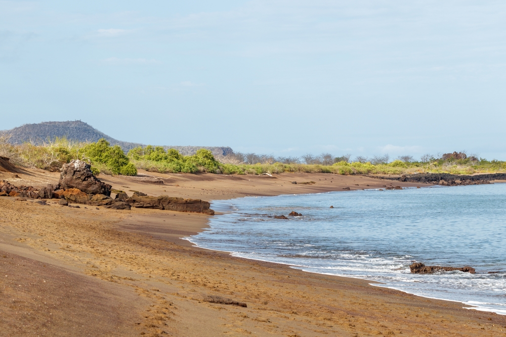 Spiaggia Punta Cormorant, Floreana, Galapagos