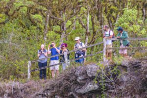 Gruppo di turisti a Los Gemelos, Puerto Ayora