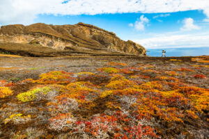 Punta Pitt, San Cristobal, vegetazione