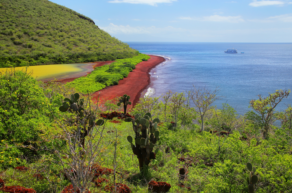 Spiaggia rossa di Rabida Island, Galapagos National Park,